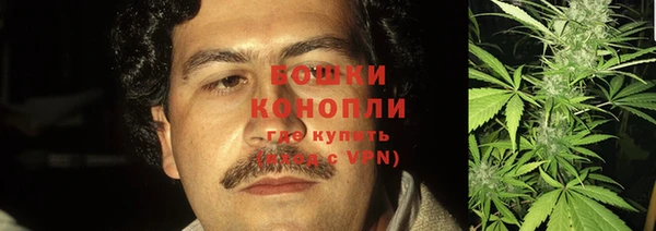 индика Богородицк