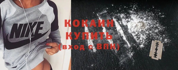 молекула духа Белокуриха