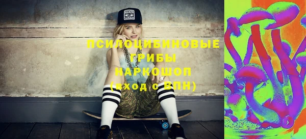 молекула духа Белокуриха