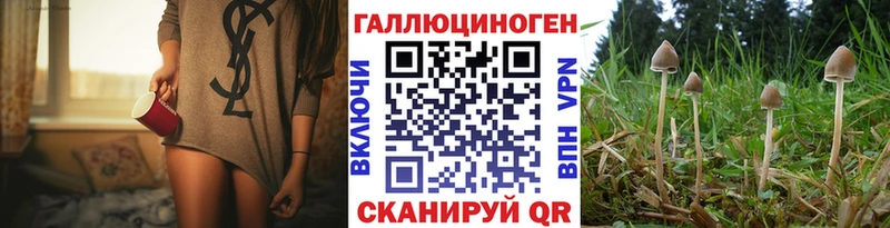 Псилоцибиновые грибы MAGIC MUSHROOMS  купить наркотики цена  кракен сайт  Саяногорск 