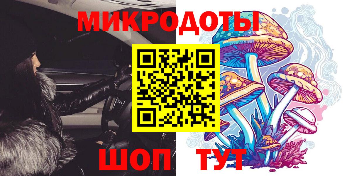Псилоцибиновые грибы Psilocybine cubensis Саяногорск