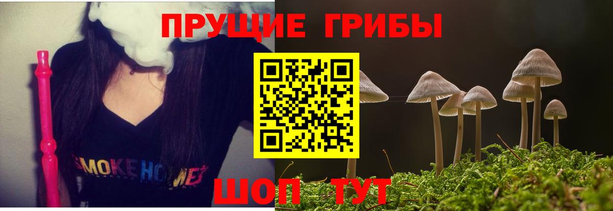 Саяногорск  Галлюциногенные грибы Magic Shrooms  Галлюциногенные грибы Psilocybine cubensis  продажа наркотиков  Вход с VPN 