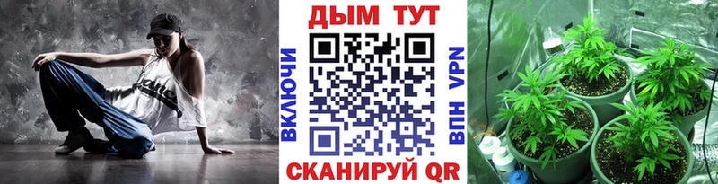 Шишки марихуана планчик  купить наркоту  Саяногорск 